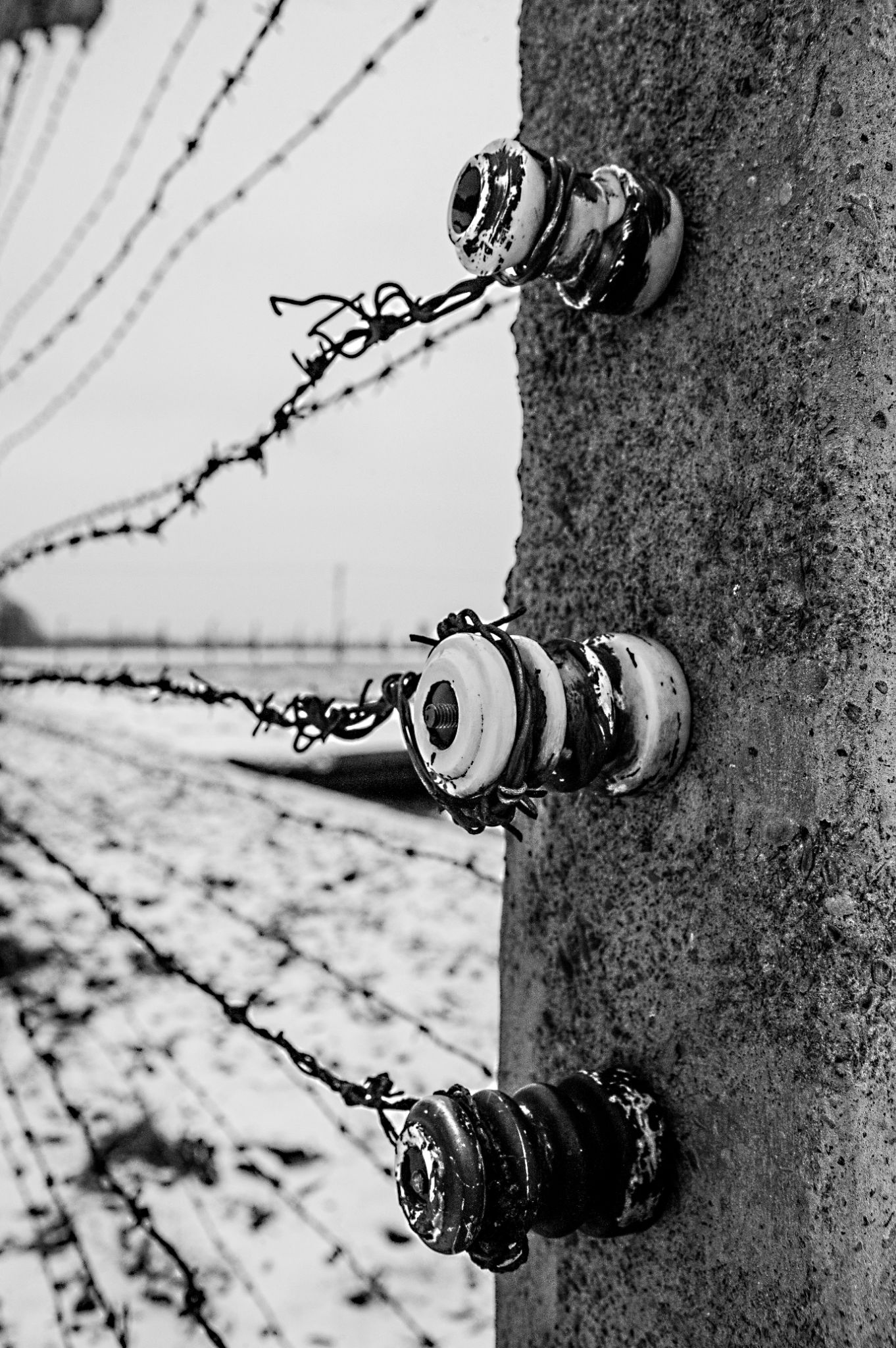  Electric Fence 